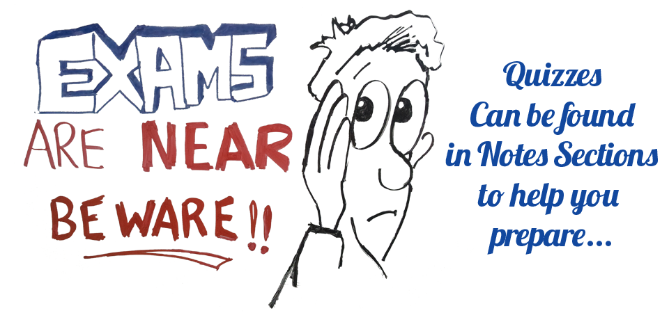 More Online Quizzes…